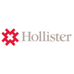 Logo Hollister - Creativi Digitali