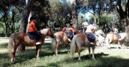 Unconventional-Actions-cavalli-del-fise-in-villa-borghe
