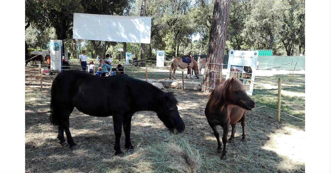 unconventional actions: pony nel parco di Villa borghese