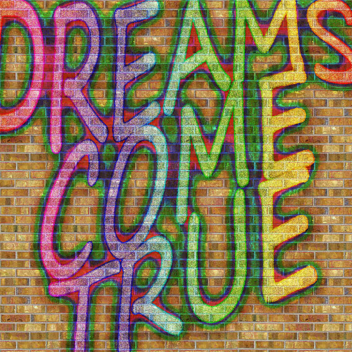 Crowdfunding e Social Network - immagine di scritta su muro "dreams come true"