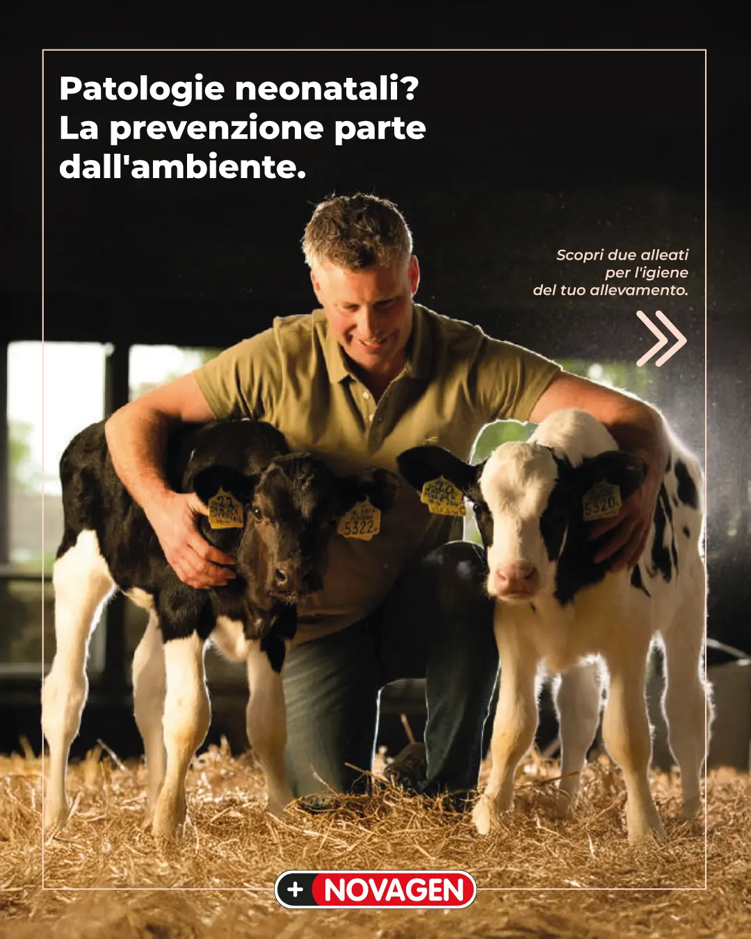 Contenuto editoriale per social media