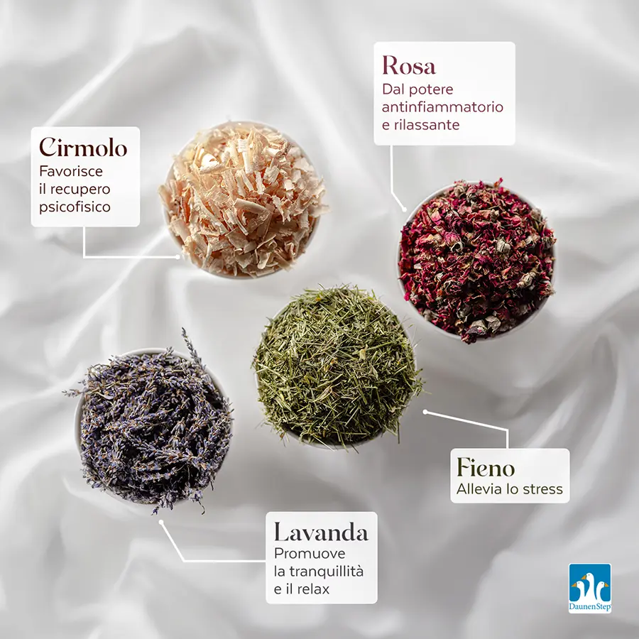 Daunenstep - Creativi Digitali Agenzia di comunicazione digital – immagine di progetto 6